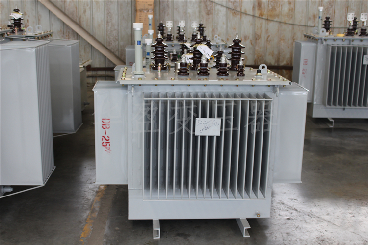 来宾S20-800kVA/10kV/0.4kV变压器